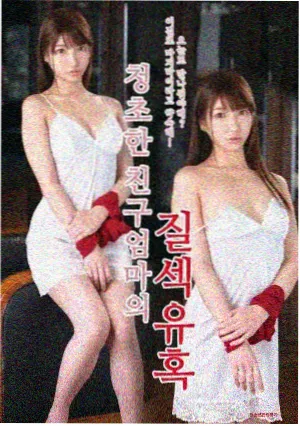 潮汐笔记 封面图